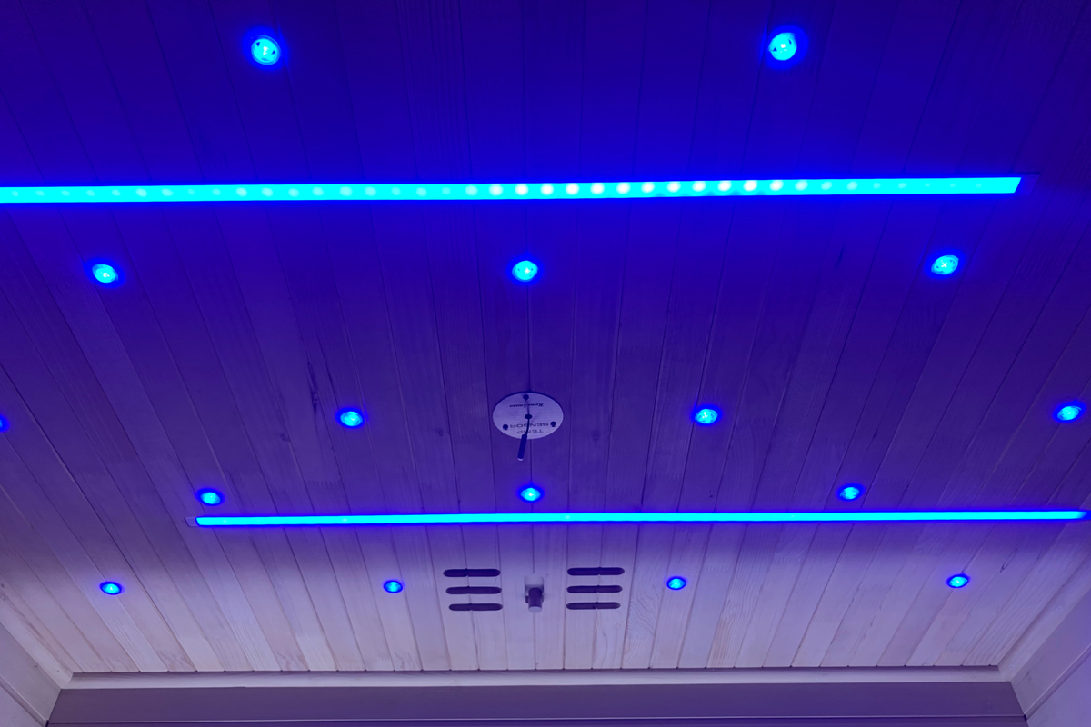 2-Person Full Spectrum Infrared Sauna with Red Light Therapy